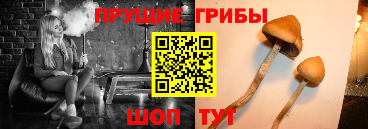 как найти закладки  Вход с VPN  Боровичи  Галлюциногенные грибы ЛСД 